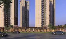 关于水包砂多彩涂料的发展历程