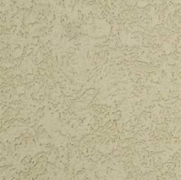 弹性质感涂料TW038 弹性质感涂料TW038